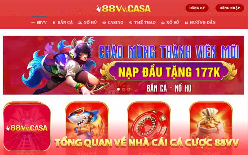 Tổng quan về nhà cái cá cược 88VV